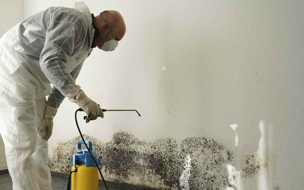 Mold Testing Minneapolis Essential After Water Damage