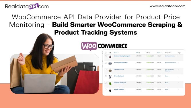 WooCommerce API Data Provider Product Price Monitoring