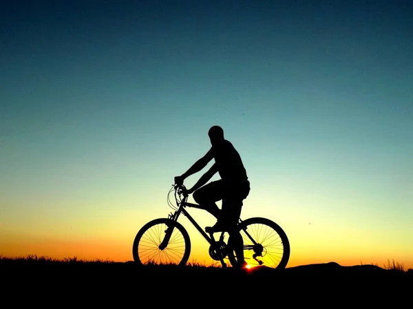 Car Engine Overheating Get Quick Engine Repair in Dubai