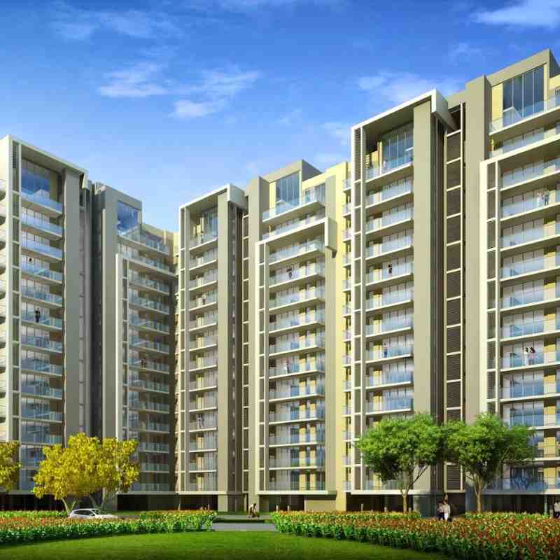 What You Need to Know About HCBS Developers in Gurgaon