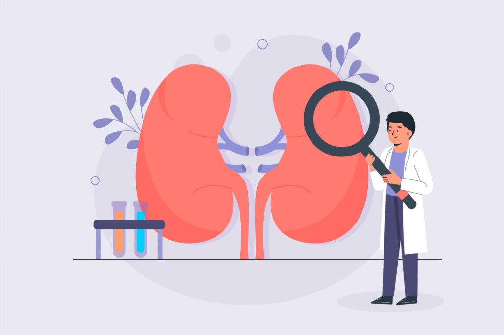 KFT Blood Test Price: Cost, Procedure & Benefits