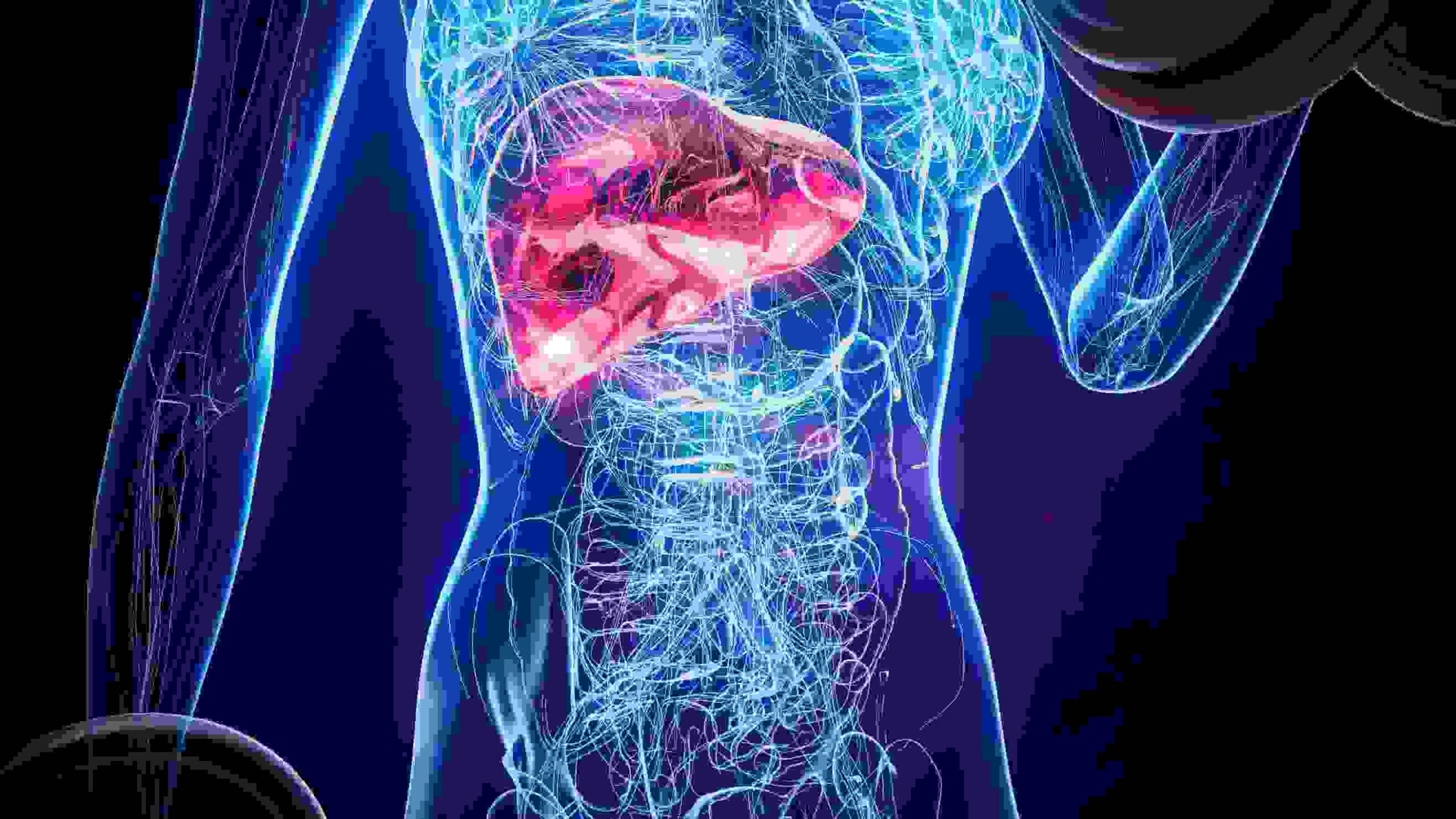 Liver Transplant Treatment Cost in Singapore