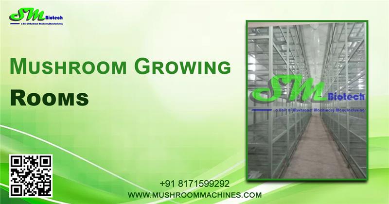 Premium Mushroom Growing Rooms by MushroomMachines 🌱 1 m.g.room 1