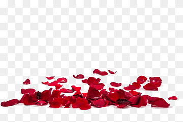 png transparent red rose petals red rose petal red thumbnail