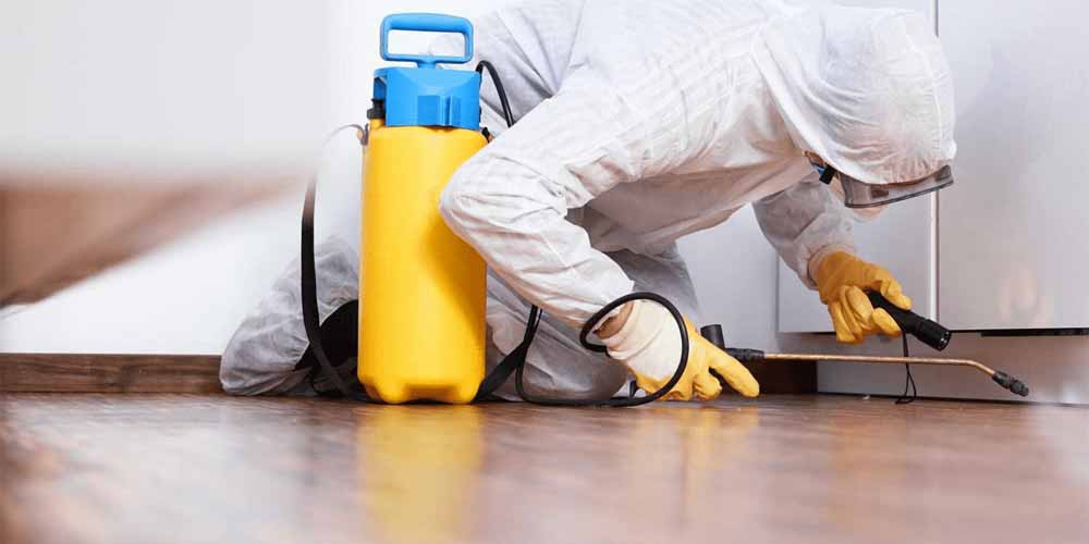 Pest Control Solutions Cleveland