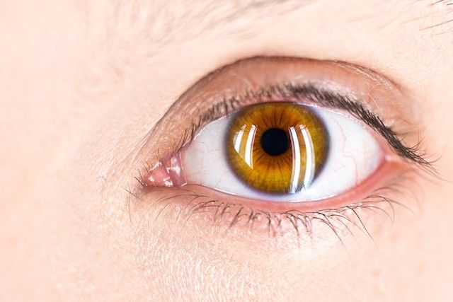 Preventing Eye Strain: Simple Habits for Everyday Life