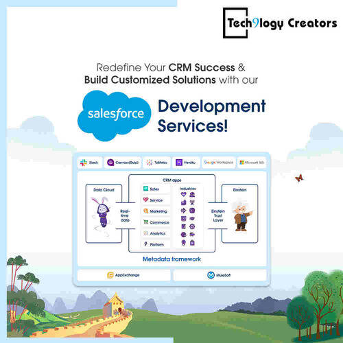 Custom Software Development Company