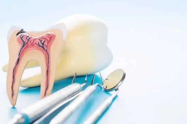 Advanced Tri City Dental Endodontics