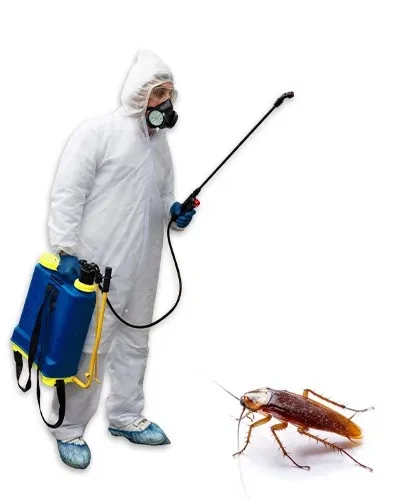 Cockroach Control Calgary