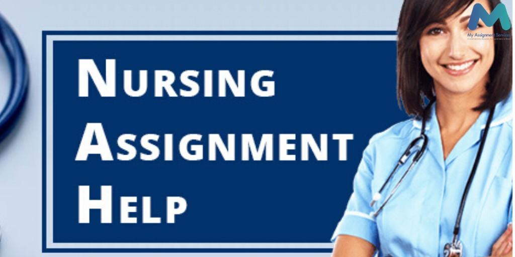 Meera’s Journey with Nursing Assignment Help in Ireland